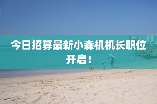 今日招募最新小森機機長職位開啟！