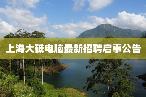 上海大砥電腦最新招聘啟事公告