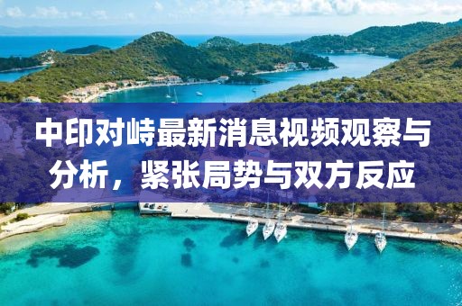 中印對峙最新消息視頻觀察與分析，緊張局勢與雙方反應