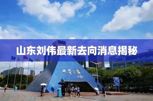 山東劉偉最新去向消息揭秘