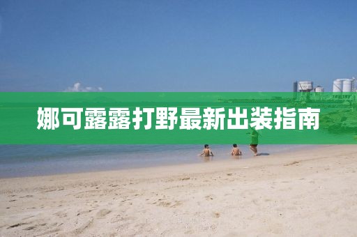 娜可露露打野最新出裝指南