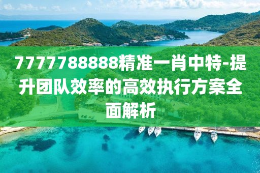 7777788888精準一肖中特-提升團隊效率的高效執行方案全面解析