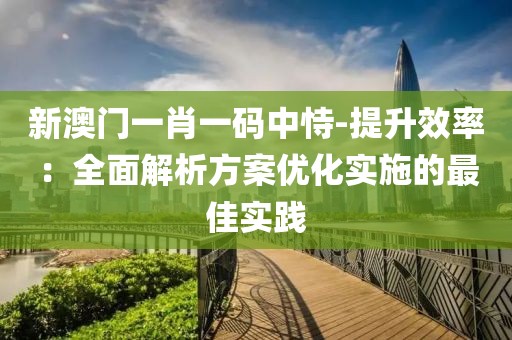 新澳門一肖一碼中恃-提升效率：全面解析方案優化實施的最佳實踐