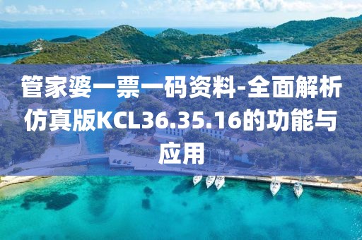 管家婆一票一碼資料-全面解析仿真版KCL36.35.16的功能與應用
