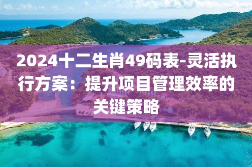 2024十二生肖49碼表-靈活執行方案：提升項目管理效率的關鍵策略