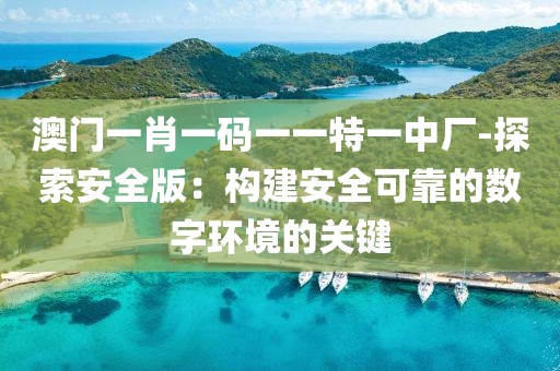 澳門一肖一碼一一特一中廠-探索安全版：構建安全可靠的數字環境的關鍵