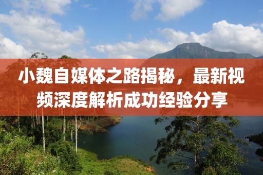 小魏自媒體之路揭秘，最新視頻深度解析成功經驗分享