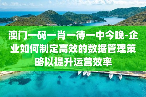 澳門一碼一肖一待一中今晚-企業如何制定高效的數據管理策略以提升運營效率