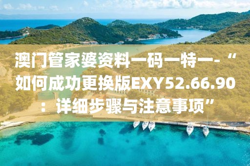 澳門管家婆資料一碼一特一-“如何成功更換版EXY52.66.90：詳細步驟與注意事項”