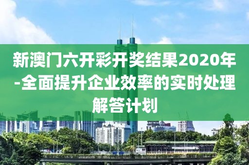 新澳門六開彩開獎結果2020年-全面提升企業效率的實時處理解答計劃