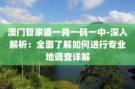 澳門管家婆一肖一碼一中-深入解析：全面了解如何進行專業地調查詳解