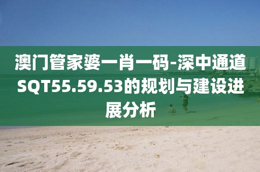 澳門管家婆一肖一碼-深中通道SQT55.59.53的規劃與建設進展分析