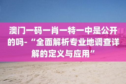 澳門一碼一肖一特一中是公開的嗎-“全面解析專業地調查詳解的定義與應用”