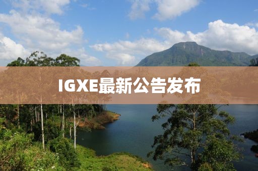 IGXE最新公告發布