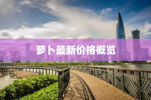 蘿卜最新價格概覽