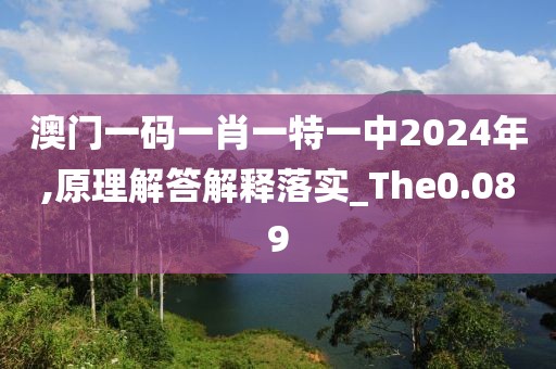 澳門一碼一肖一特一中2024年,原理解答解釋落實_The0.089