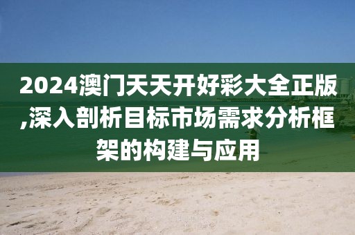 2024澳門天天開好彩大全正版,深入剖析目標市場需求分析框架的構建與應用
