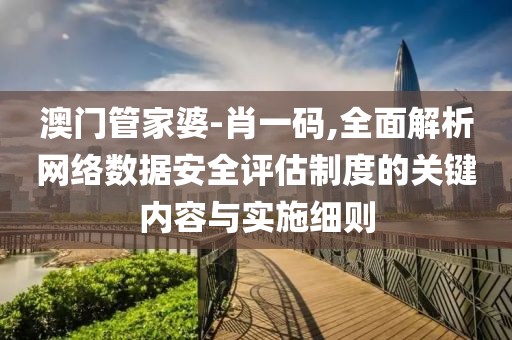 澳門管家婆-肖一碼,全面解析網絡數據安全評估制度的關鍵內容與實施細則