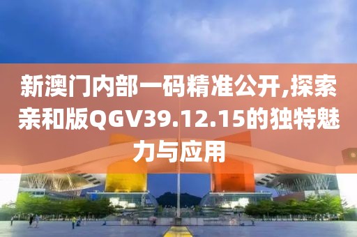 新澳門內部一碼精準公開,探索親和版QGV39.12.15的獨特魅力與應用