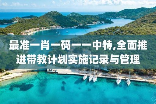 最準一肖一碼一一中特,全面推進帶教計劃實施記錄與管理