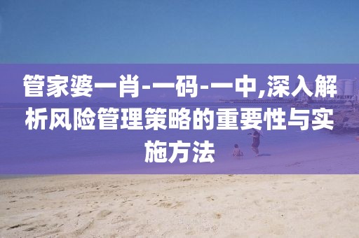 管家婆一肖-一碼-一中,深入解析風險管理策略的重要性與實施方法