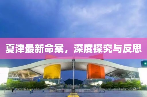 夏津最新命案，深度探究與反思