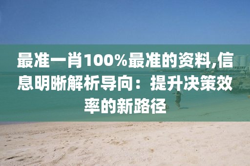最準一肖100%最準的資料,信息明晰解析導向：提升決策效率的新路徑