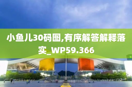 小魚兒30碼圖,有序解答解釋落實_WP59.366