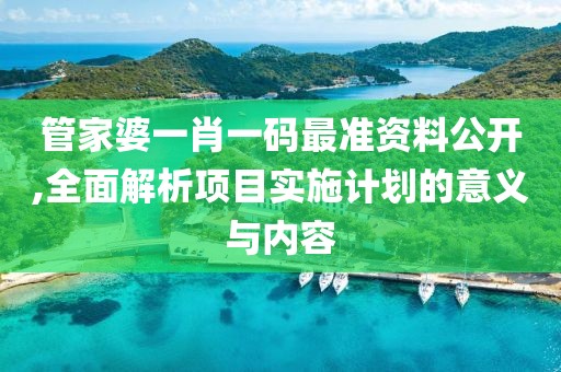 管家婆一肖一碼最準資料公開,全面解析項目實施計劃的意義與內容