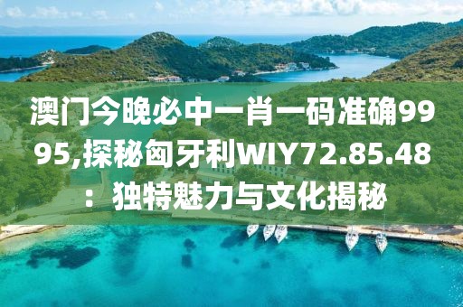 澳門今晚必中一肖一碼準確9995,探秘匈牙利WIY72.85.48：獨特魅力與文化揭秘