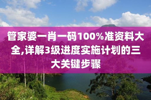 管家婆一肖一碼100%準資料大全,詳解3級進度實施計劃的三大關鍵步驟