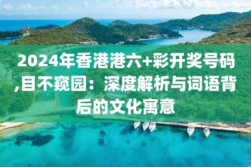 2024年香港港六+彩開獎號碼,目不窺園：深度解析與詞語背后的文化寓意