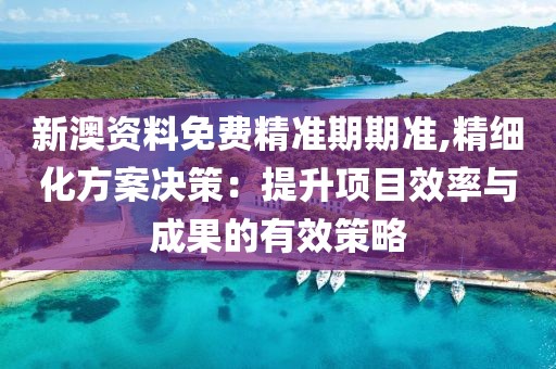 新澳資料免費精準期期準,精細化方案決策：提升項目效率與成果的有效策略