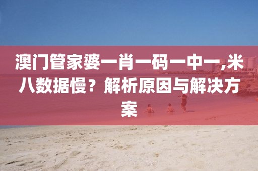 澳門管家婆一肖一碼一中一,米八數據慢？解析原因與解決方案