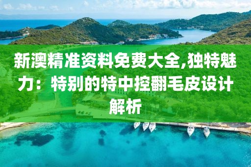 新澳精準資料免費大全,獨特魅力：特別的特中控翻毛皮設計解析