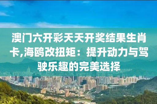 澳門六開彩天天開獎結果生肖卡,海鷗改扭矩：提升動力與駕駛樂趣的完美選擇