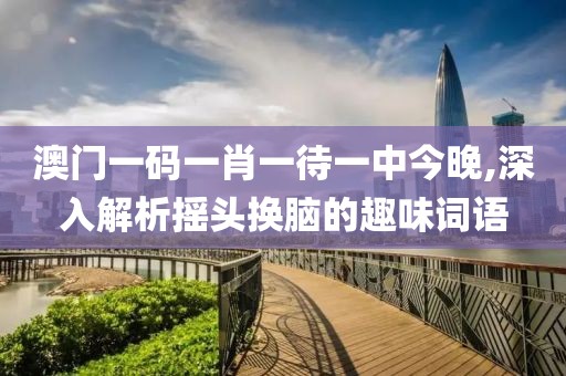澳門一碼一肖一待一中今晚,深入解析搖頭換腦的趣味詞語