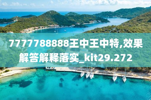 7777788888王中王中特,效果解答解釋落實_kit29.272