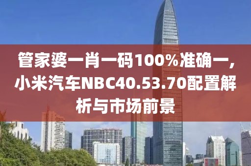 管家婆一肖一碼100%準確一,小米汽車NBC40.53.70配置解析與市場前景