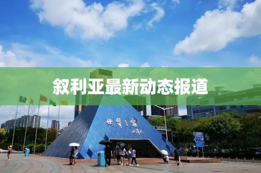 敘利亞最新動態報道