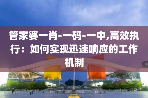 管家婆一肖-一碼-一中,高效執行：如何實現迅速響應的工作機制