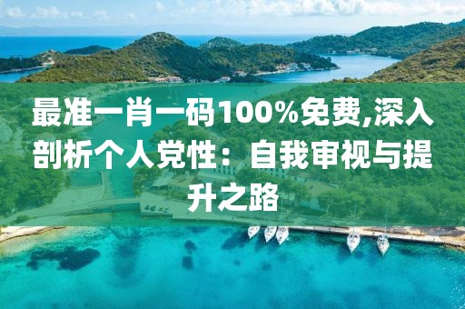 最準一肖一碼100%免費,深入剖析個人黨性：自我審視與提升之路