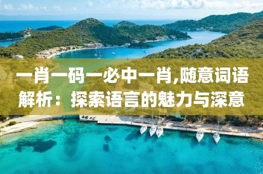 一肖一碼一必中一肖,隨意詞語解析：探索語言的魅力與深意