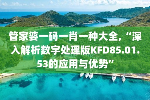 管家婆一碼一肖一種大全,“深入解析數字處理版KFD85.01.53的應用與優勢”