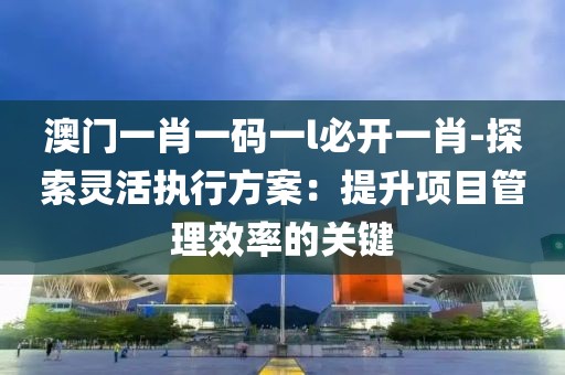 澳門一肖一碼一l必開一肖-探索靈活執行方案：提升項目管理效率的關鍵