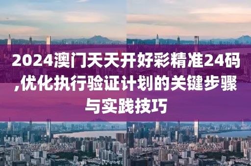2024澳門天天開好彩精準24碼,優化執行驗證計劃的關鍵步驟與實踐技巧