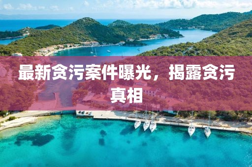 最新貪污案件曝光，揭露貪污真相