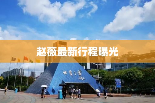 趙薇最新行程曝光