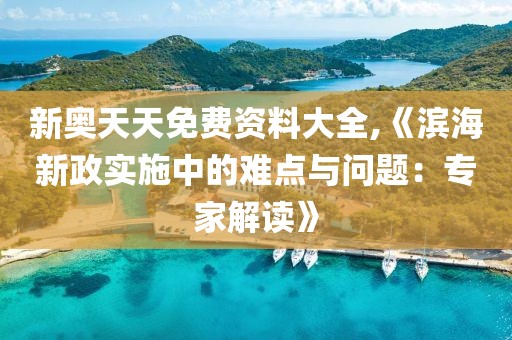 新奧天天免費資料大全,《濱海新政實施中的難點與問題：專家解讀》