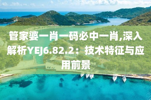 管家婆一肖一碼必中一肖,深入解析YEJ6.82.2：技術特征與應用前景
